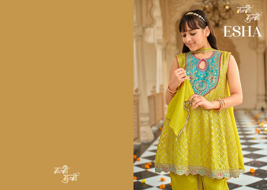 Modern Embroidered Kurta Set for Girl